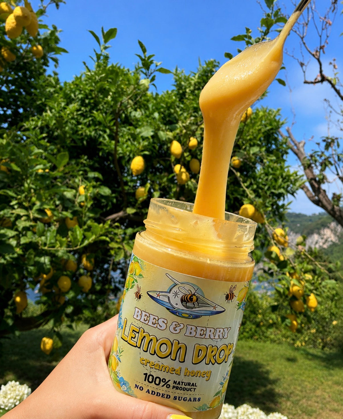 Lemon Drop Creamed Honey